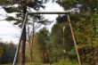 20131011-b-woodstock-0480.jpg