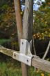 20131011-b-woodstock-0482.jpg