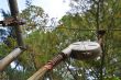 20131011-b-woodstock-0483.jpg