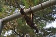 20131011-b-woodstock-0485.jpg