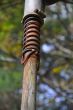 20131011-b-woodstock-0493.jpg
