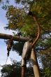 20131011-b-woodstock-0495.jpg