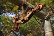 20131011-b-woodstock-0496.jpg