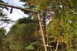 20131011-b-woodstock-0498.jpg