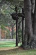 20131011-b-woodstock-0500.jpg