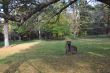 20131011-b-woodstock-0503.jpg