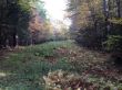 20131011-b-woodstock-0537.jpg