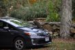 20131011-b-woodstock-0542.jpg