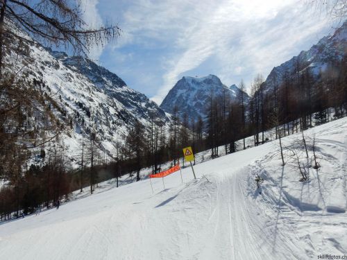 20220302-b-arolla-3311.jpg