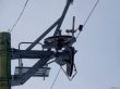 20220302-g-arolla-3494.jpg