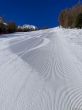20220303-arolla-9779.jpg