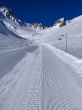20220303-arolla-9781.jpg