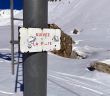 20220303-arolla-9820.jpg