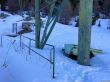 20220303-arolla-9843.jpg