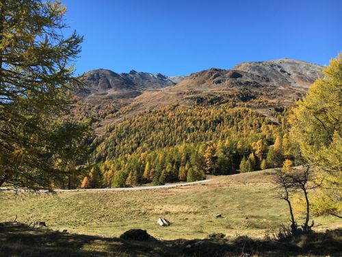 Moosalp, 11. Oktober 2017

