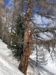 Dateiname=20180309-buerchen-moosalp-1518.jpg
Dateigröße=969KB
Abmessungen: 900x1200
hinzugefügt am: 11. März 2018 20180309-buerchen-moosalp-1518.jpg