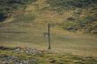 20090913-b-gd-st-bernard-0015.jpg