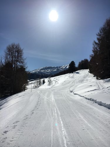 Eischoll, 11. März 2016
