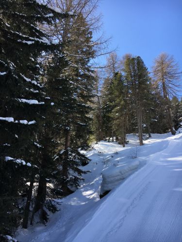 Eischoll, 11. März 2016

