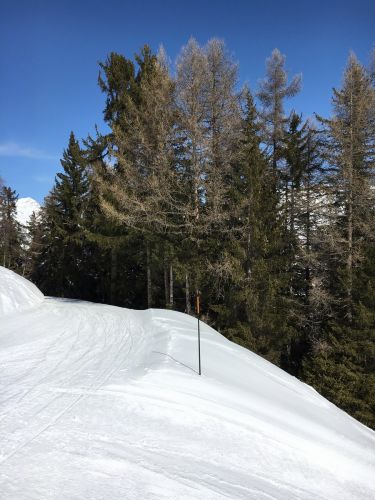 Eischoll, 11. März 2016
