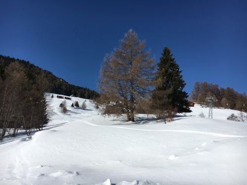 Eischoll, 11. März 2016
