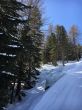 20160311-b-eischoll-3214.jpg