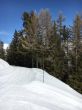 20160311-b-eischoll-3239.jpg