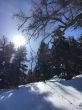 20160311-b-eischoll-3264.jpg