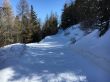 20160311-b-eischoll-3321.jpg