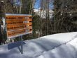 20160311-b-eischoll-3322.jpg