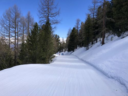 20190417-graechen-4222.jpg