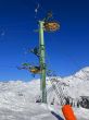 20250205-grimentz-zinal-253.jpg