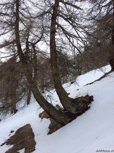 20150310-b-jeizinen-8878.jpg