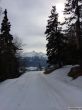 Dateiname=20150310-b-jeizinen-8907.jpg
Dateigröße=286KB
Abmessungen: 900x1200
hinzugefügt am: 20. Februar 2019 20150310-b-jeizinen-8907.jpg