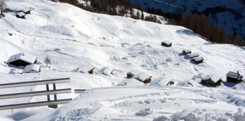 16. Januar 2011
