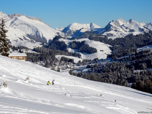 20170119-mosses-leysin-5343.jpg