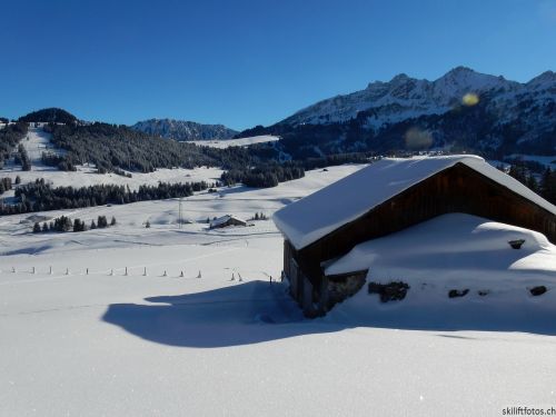 20170119-mosses-leysin-5414.jpg