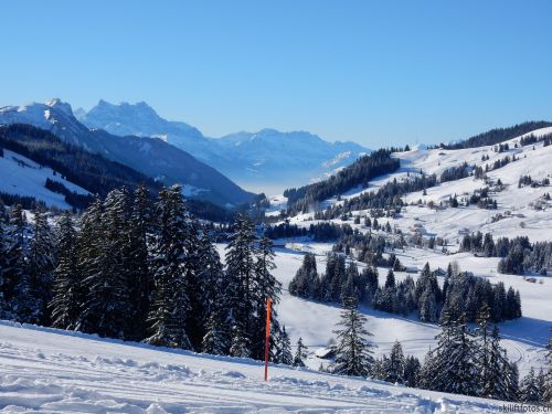 20170119-mosses-leysin-5439.jpg