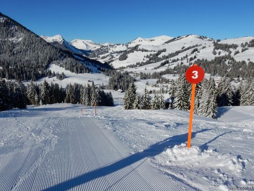 20170119-mosses-leysin-5456.jpg
