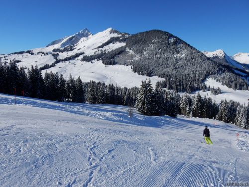 20170119-mosses-leysin-5458.jpg