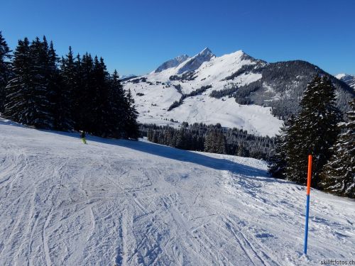 20170119-mosses-leysin-5492.jpg