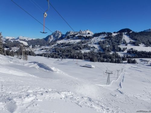 20170119-mosses-leysin-5499.jpg