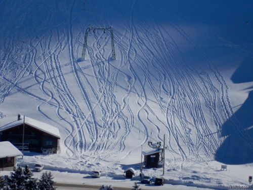 20170119-mosses-leysin-5508.jpg