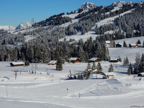 20170119-mosses-leysin-5519.jpg