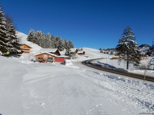 20170119-mosses-leysin-5527.jpg