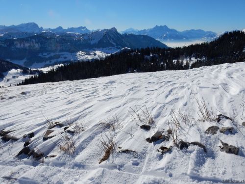 20170119-mosses-leysin-5557.jpg