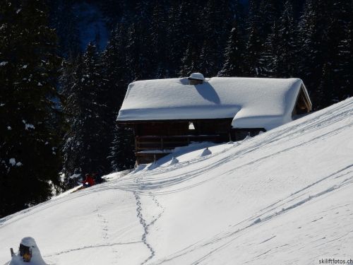 20170119-mosses-leysin-5600.jpg