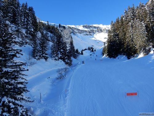 20170119-mosses-leysin-5671.jpg