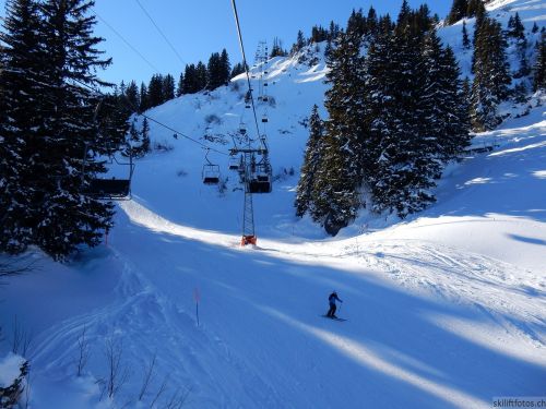 20170119-mosses-leysin-5678.jpg