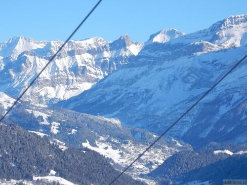 20170119-mosses-leysin-5682.jpg